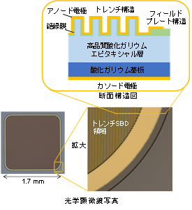 β-Ga<sub>2</sub>O<sub>3</sub>トレンチ型SBDの断面構造図、光学顕微鏡写真