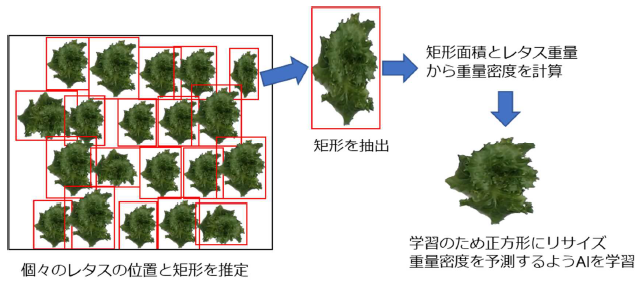 今回開発したAI技術の模式図