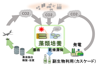 微細藻類カーボンリサイクル技術の流れを表したイメージ図