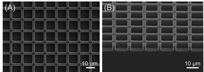 図1　ウェルアレイの電子顕微鏡像、（A）上面図と（B）断面図の画像