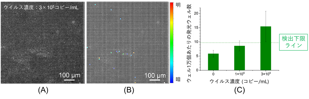 図2　ウェルアレイとAIE試薬を用いて測定した（A）蛍光像、（B）発光ウェルをカラーで表示した（A）の解析図、（C）（B）の発光ウェル数の解析に基づく、インフルエンザウイルス検出結果の画像