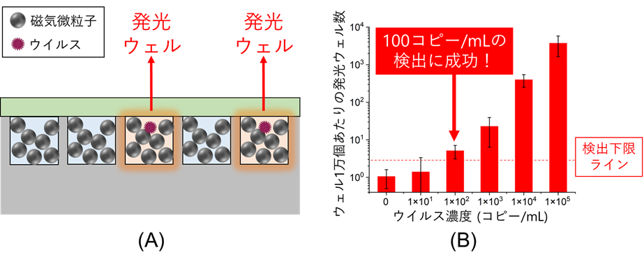 図3　多粒子格納デジタル検出法の（A）ウェルアレイ断面の概要図、（B）インフルエンザウイルス検出結果の画像