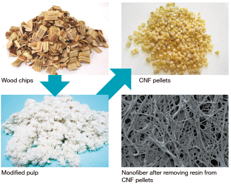 Photo of Wood chips, Denatured pulp, CNF pellets and View of nanofiber after removal of resin  from CNF pellets