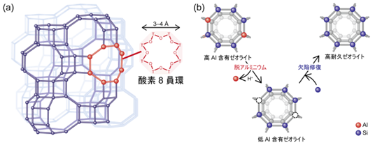 （a）小細孔ゼオライトの酸素8員環細孔、（b）本研究のスキームの図