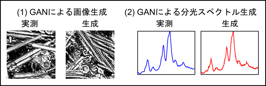 図3　GANを用いた画像や分光スペクトルの生成の説明画像