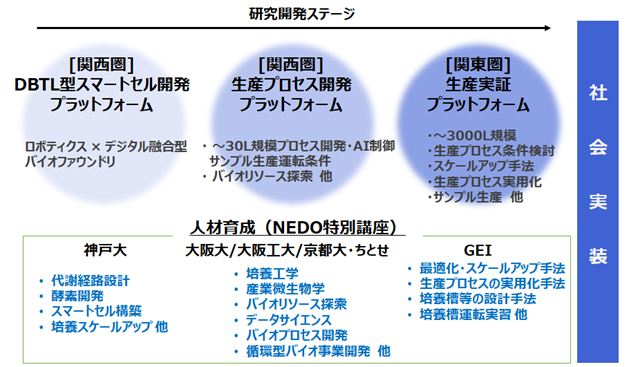 図1　「人材育成プログラム（NEDO特別講座）」の位置付けの図