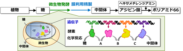 微生物発酵技術の図