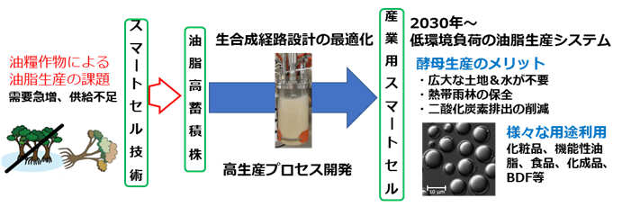 図　研究開発の概要説明の画像