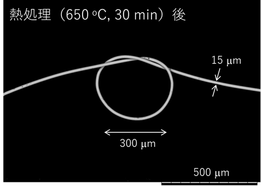 図1　650℃の反応熱処理後に作った結び目の電子顕微鏡の写真