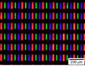 今回開発した量子ドット発光素子のRGB画素画像