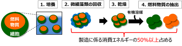 従来のバイオ燃料製造フロー画像