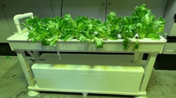 今回実験した植物工場栽培実験設備（東京大学柏地区）の写真