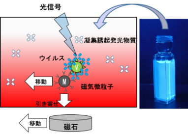 ウイルスセンシングシステムを表した概要図