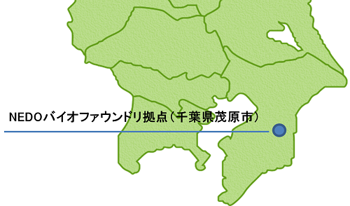 NEDOバイオファウンドリ拠点の簡易地図