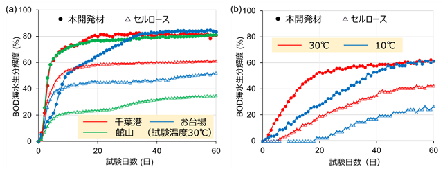 海水中における本開発材とセルロースの生分解度の比較をしたグラフ