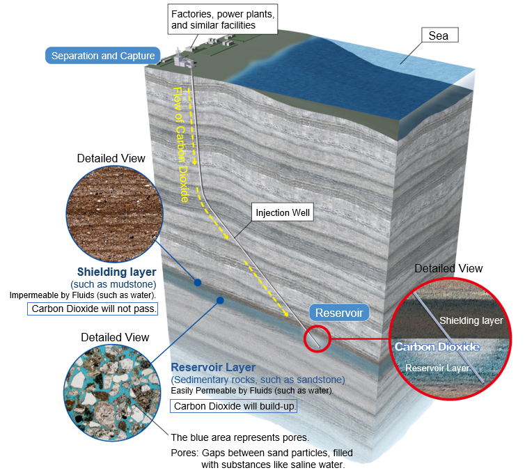 Image of CCS Conceptual Diagram