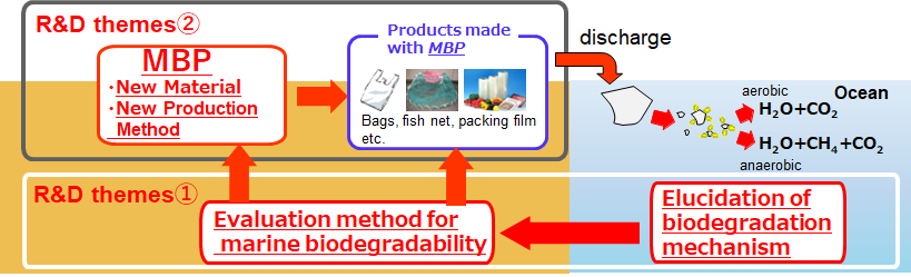 Conceptual diagram of this project