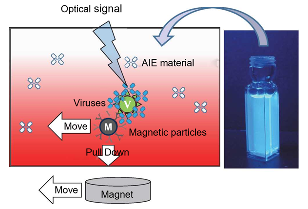 Overview diagram showing virus sensing system