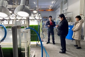 CR拠点・藻類研究エリアの設備の説明を受ける吉田経済産業大臣政務官（中央）とNEDO飯村理事（右）の写真