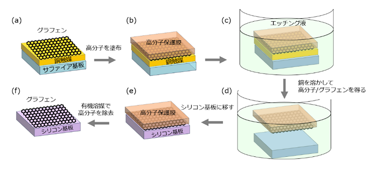 高分子保護膜による従来の転写方法の画像