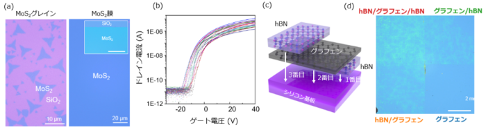 二次元半導体（MoS2）と絶縁体（hBN）のUVテープ転写の画像