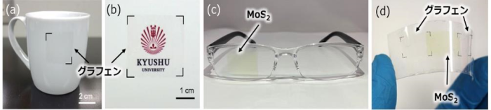 さまざまな材料や形状へ転写したグラフェンの写真