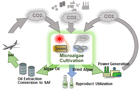 Imaged diagram of microalgae carbon recycling technology flow