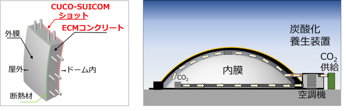 CUCO-SUICOMドーム断面図（左）と炭酸化養生の仕組み（右）の画像