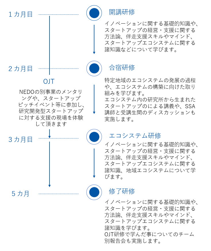 過去のプログラムを例にしたタイムラインと内容の図