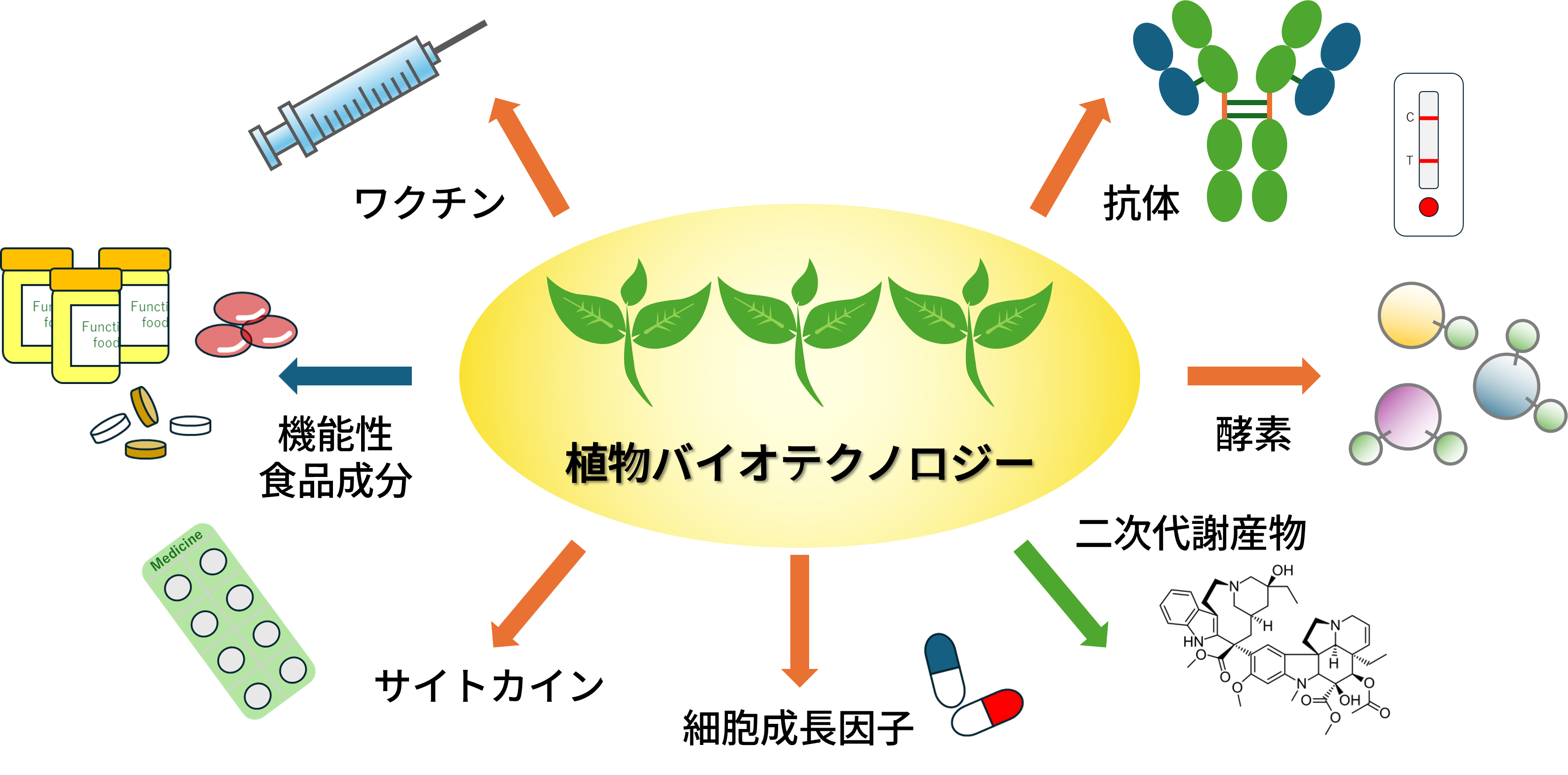 植物を用いた有用タンパク質生産のための研究開発拠点を設置しました～世界初の“一気通貫型システム”で次世代製造の扉を開く～