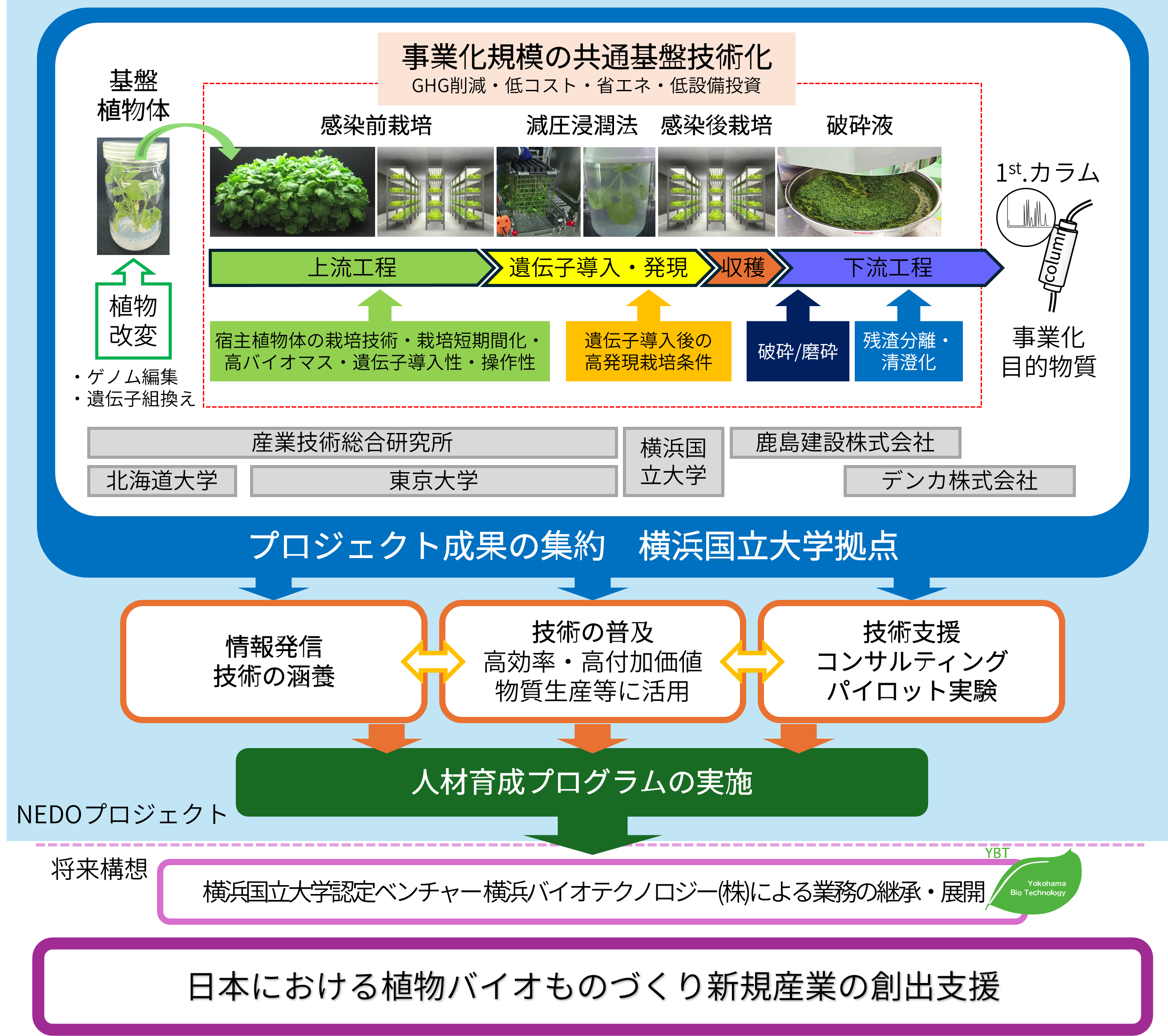 図2 本プロジェクトの概要