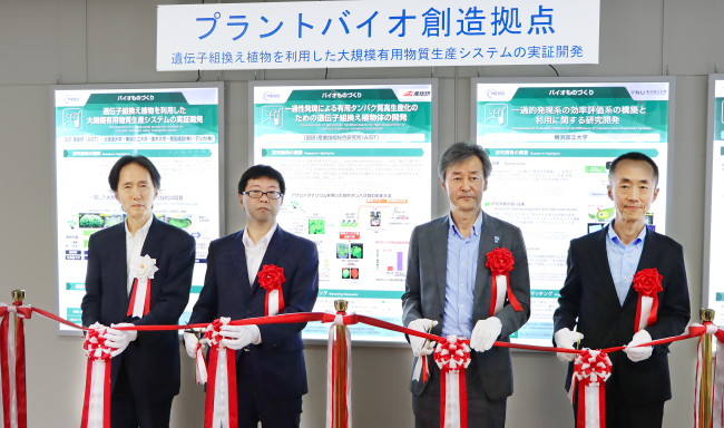プラントバイオ創造拠点のテープカットの写真。　左から千葉大学 関名誉教授、経済産業省生物化学産業課 廣瀨課長、横浜国立大学 梅原学長、ネド 林理事
