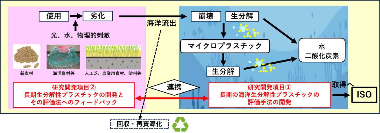 研究開発のイメージ図