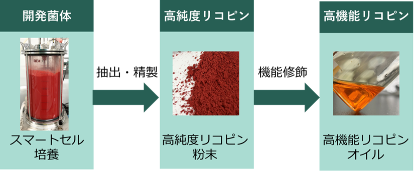 図1　スマートセルを活用したリコピン生産