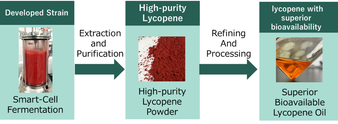 Fig. 1. Smart cell–based lycopene production