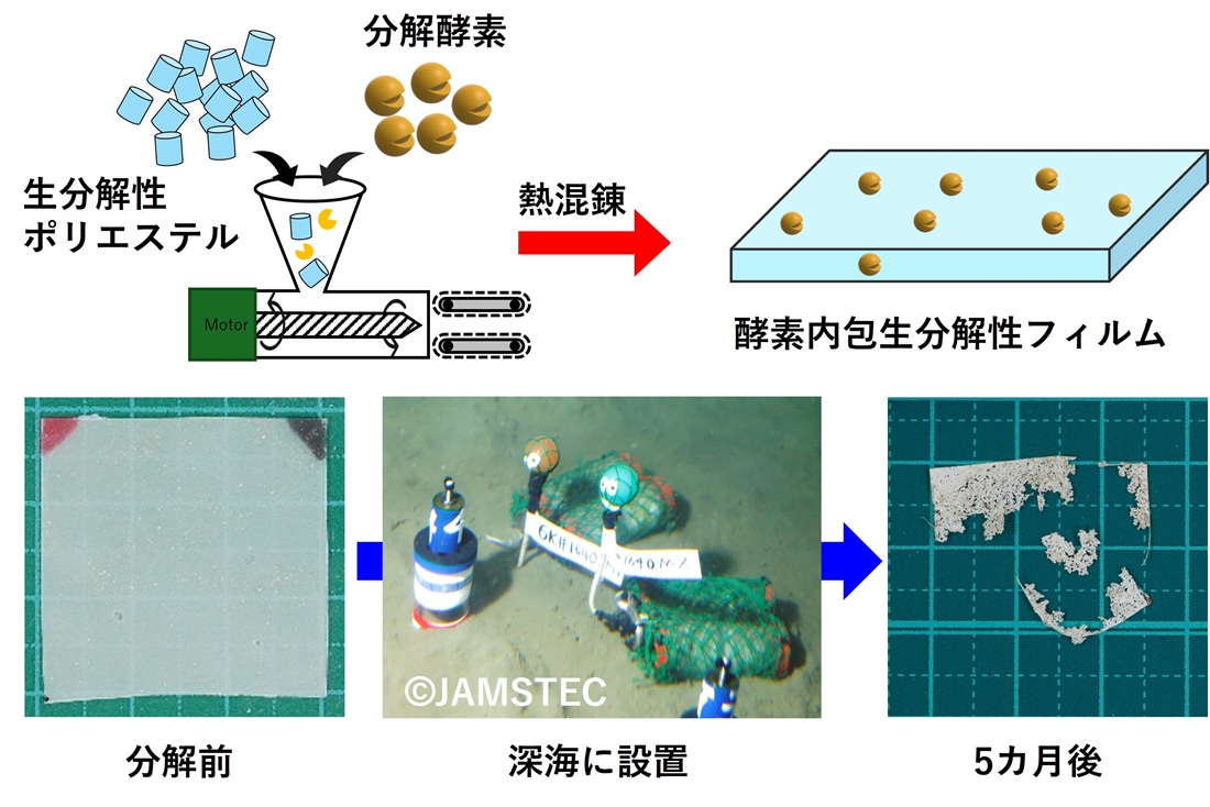図1　酵素内包生分解性プラスチックと深海分解図