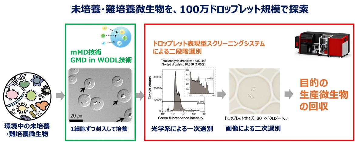 世界初、ドロップレット表現型スクリーニングシステムを開発しました ―未培養・難培養微生物の100万検体規模探索の実現へ―
